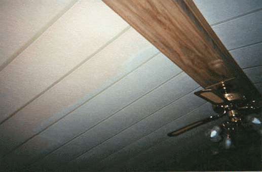 cleaning an old ceiling to look great again by mistcc in the lower mainland british columbia