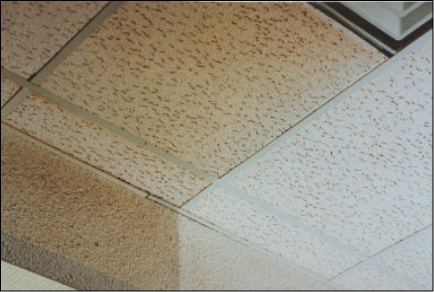 Commercial Ceiling Cleaning 2
