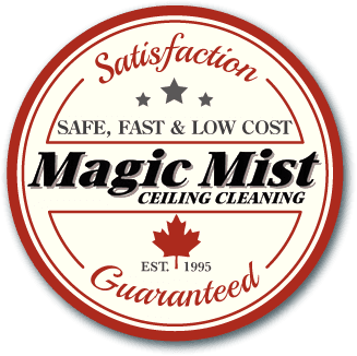 Magic Mist